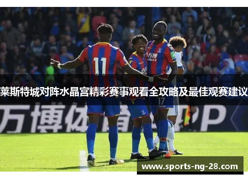 莱斯特城对阵水晶宫精彩赛事观看全攻略及最佳观赛建议 莱斯特城对阵水晶宫精彩赛事观看全攻略及最佳观赛建议