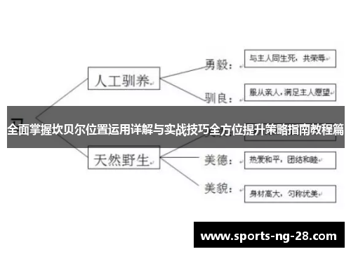 全面掌握坎贝尔位置运用详解与实战技巧全方位提升策略指南教程篇