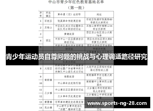 青少年运动员自尊问题的挑战与心理调适路径研究