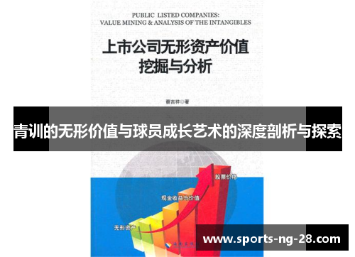 青训的无形价值与球员成长艺术的深度剖析与探索