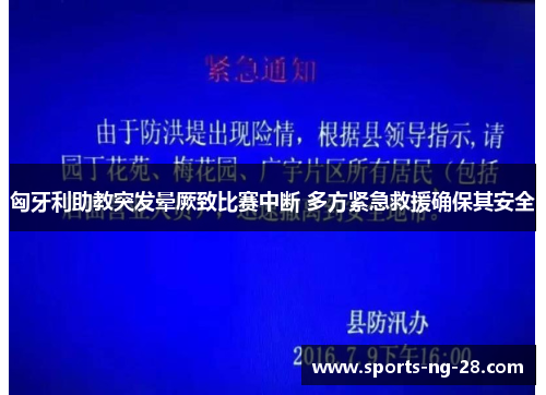 匈牙利助教突发晕厥致比赛中断 多方紧急救援确保其安全